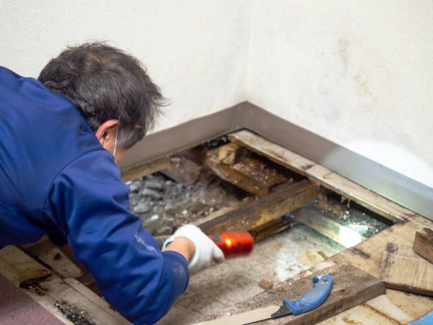 Best Bathroom Mold Remediation in Mercerville, NJ