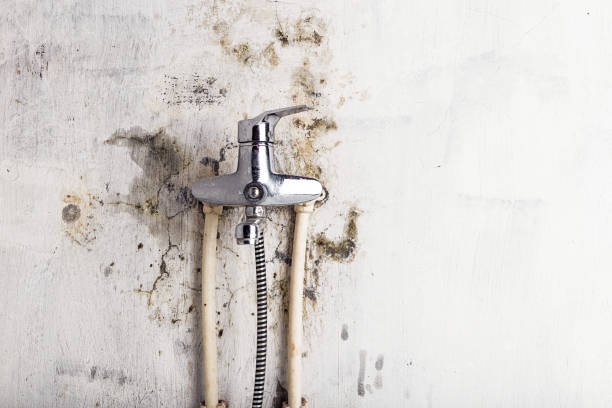 Best Post-Flood Mold Remediation in Mercerville, NJ