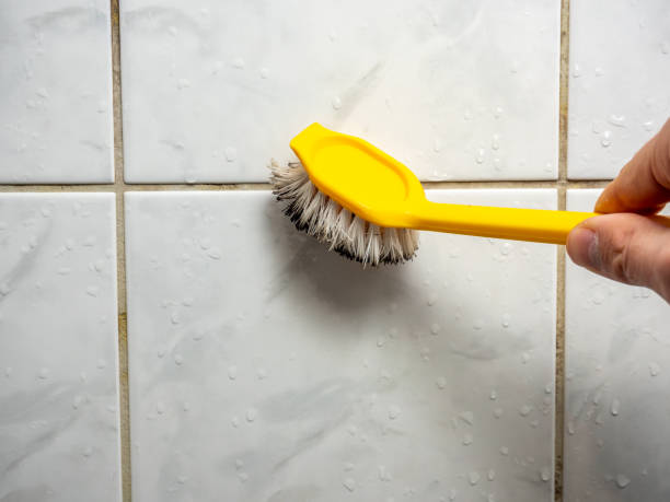 Best Preventive Mold Services in Mercerville, NJ