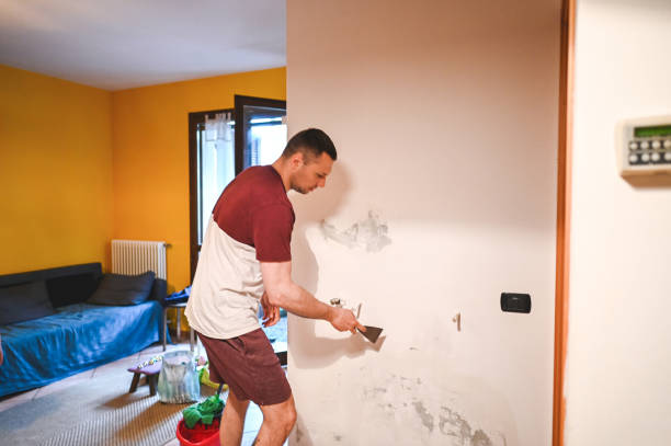 Best Localized Mold Remediation (e.g., coastal areas, humid climates) in Mercerville, NJ